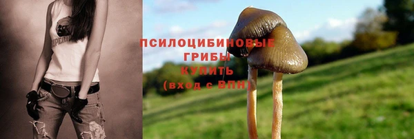 прущая мука Армянск